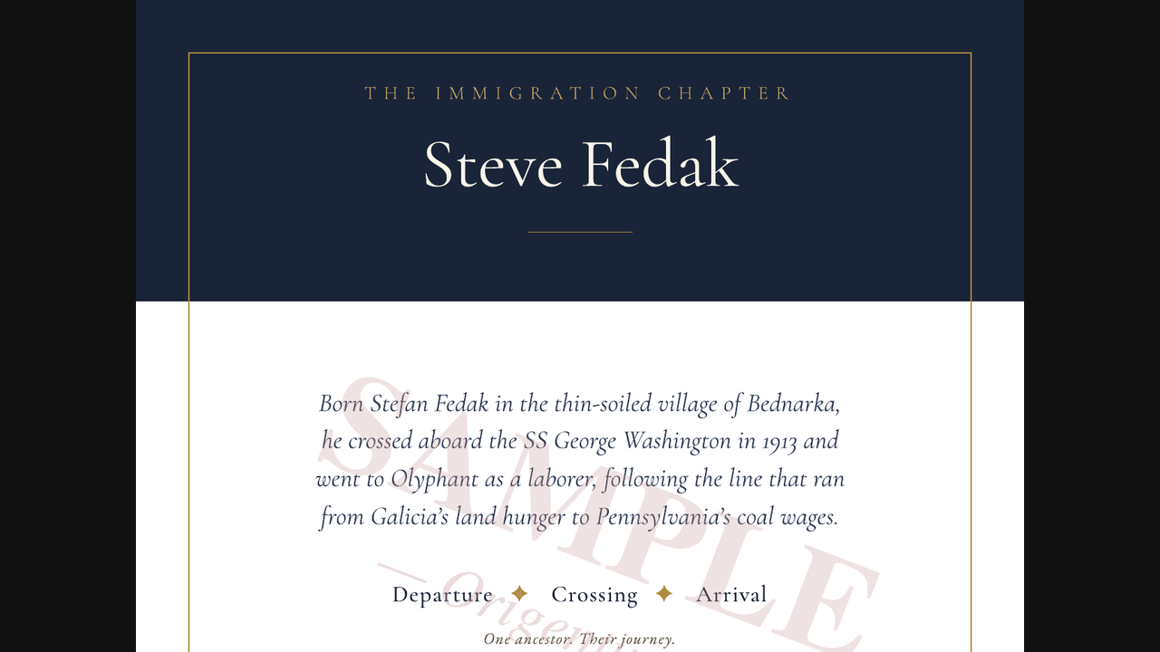 Opening page of a sample Immigration Chapter